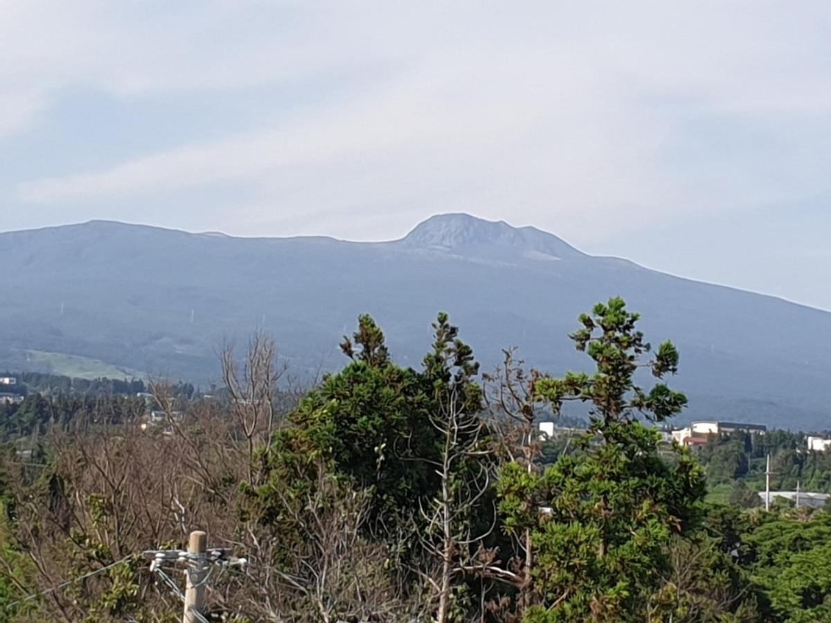 Jeju Soroan Pension 서귀포 외부 사진